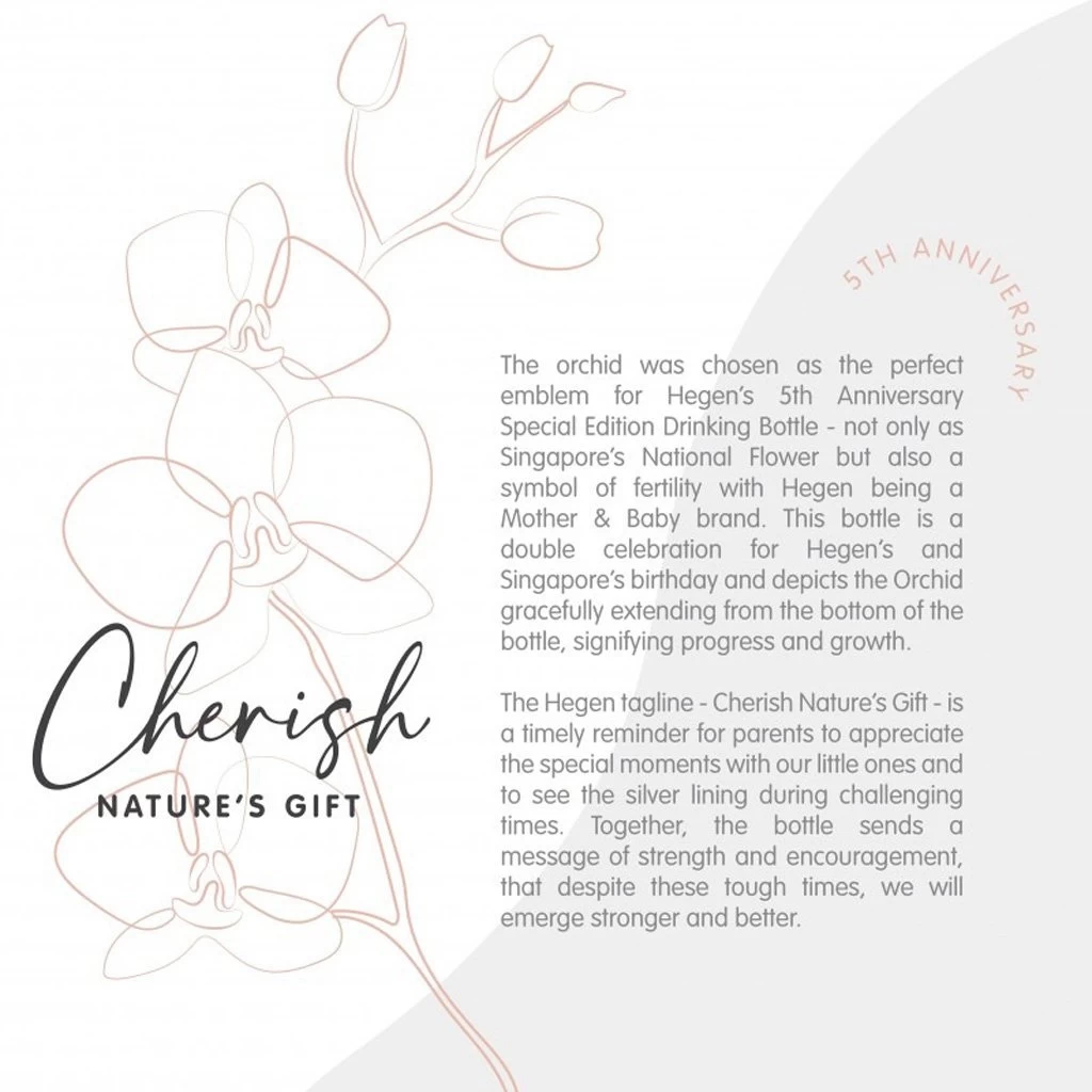 Hegen HEGEN PCTO 330ML/11OZ DRINKING BOTTLE PPSU All Grey (5th ANNIVERSARY SPECIAL EDITION) 3 Hegen HEGEN PCTO 330ML/11OZ DRINKING BOTTLE PPSU All Grey (5th ANNIVERSARY SPECIAL EDITION) - Image 3