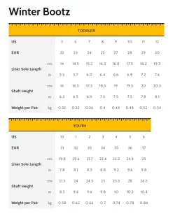 VOLTZTOYS UTV With Removable Canopy, Remote Control And Colorful Lights 2 Seater 24V Black